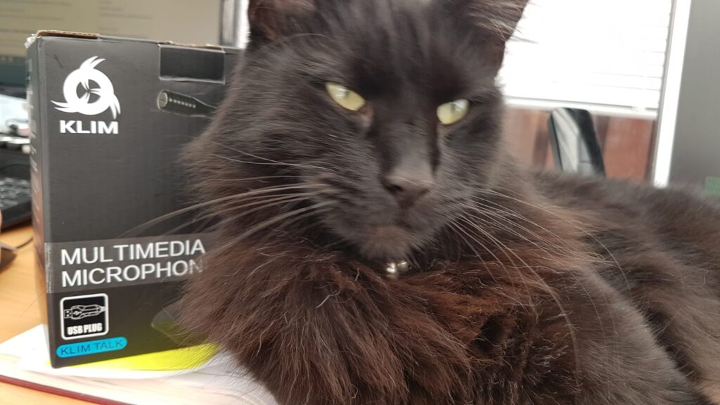 Bazinga the cat with Klim microphone